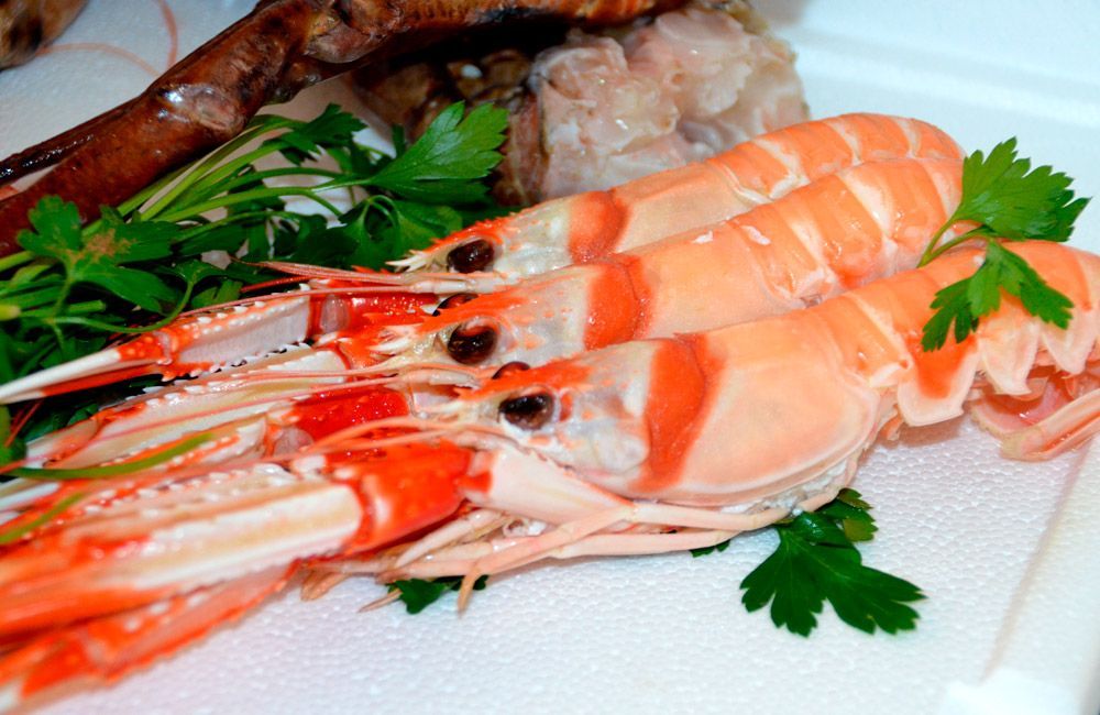 Tipos-de-mariscos